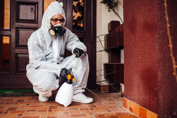 Reliable Ant Control contractor in Tifton, GA by Nex Pest Control